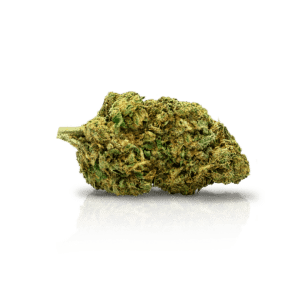 flor indoor gorilla glue